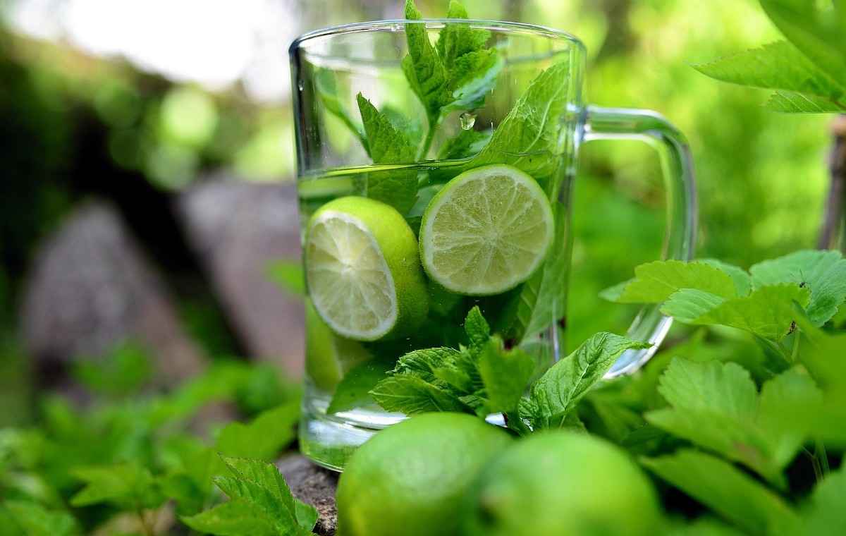 Read more about the article Best Powerful Detox Drinking Water for Full Body Cleansing & Natural Health